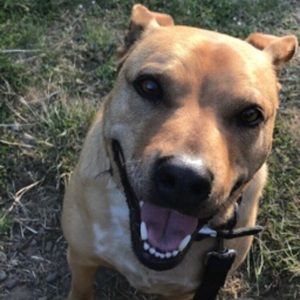 Meet your Posher, Hillary